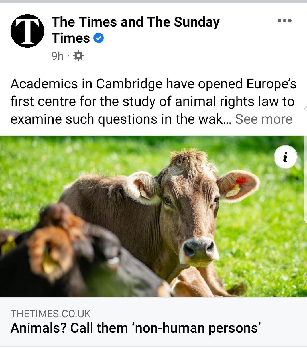 Clown world