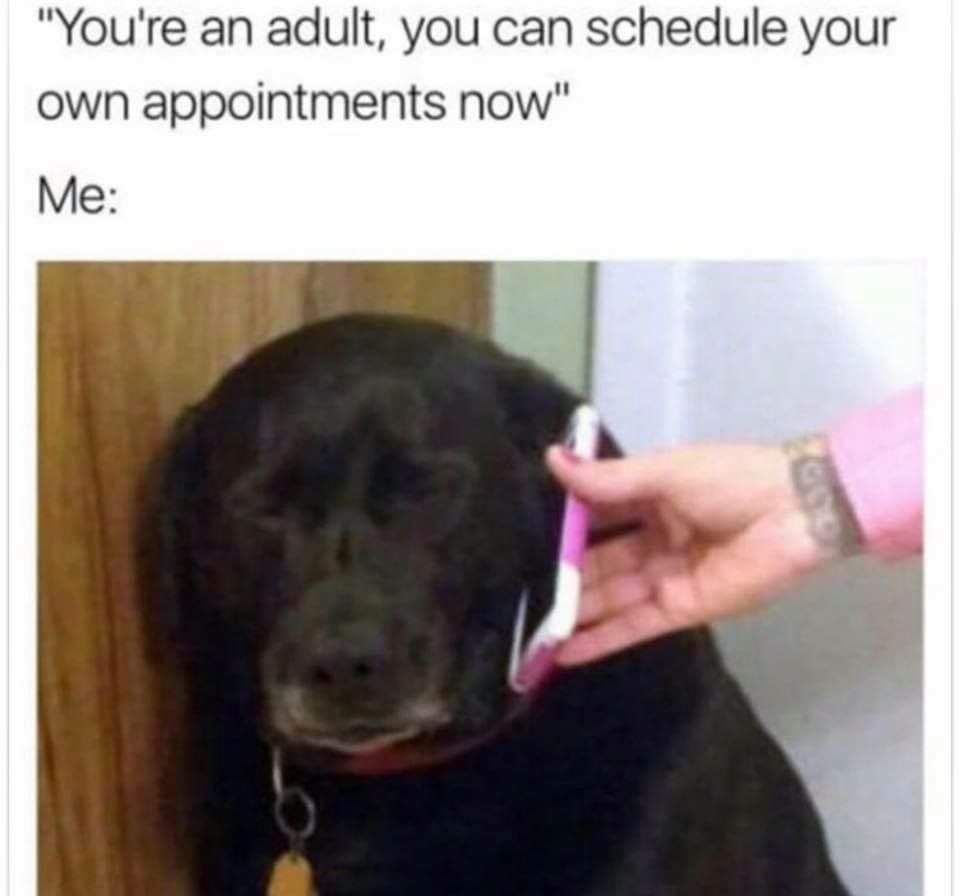 Nooooo (stolen)