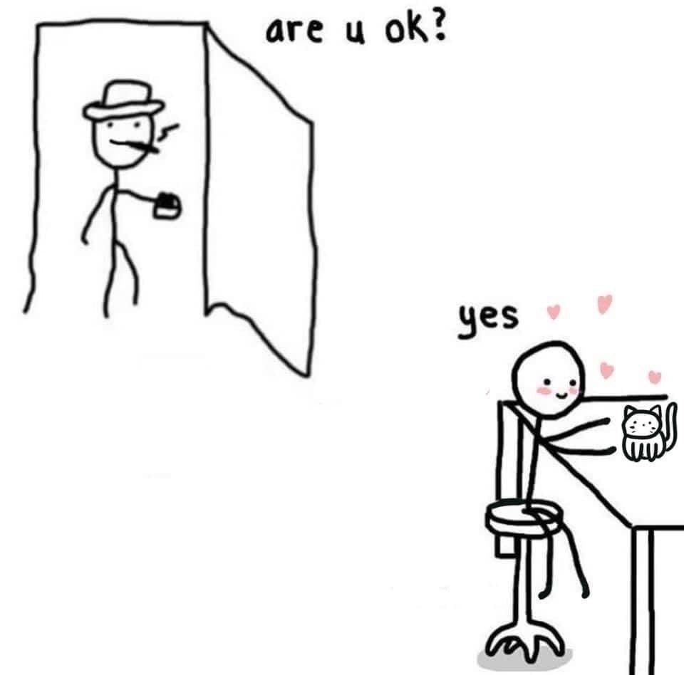 kot