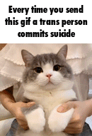 Such a cute kitty