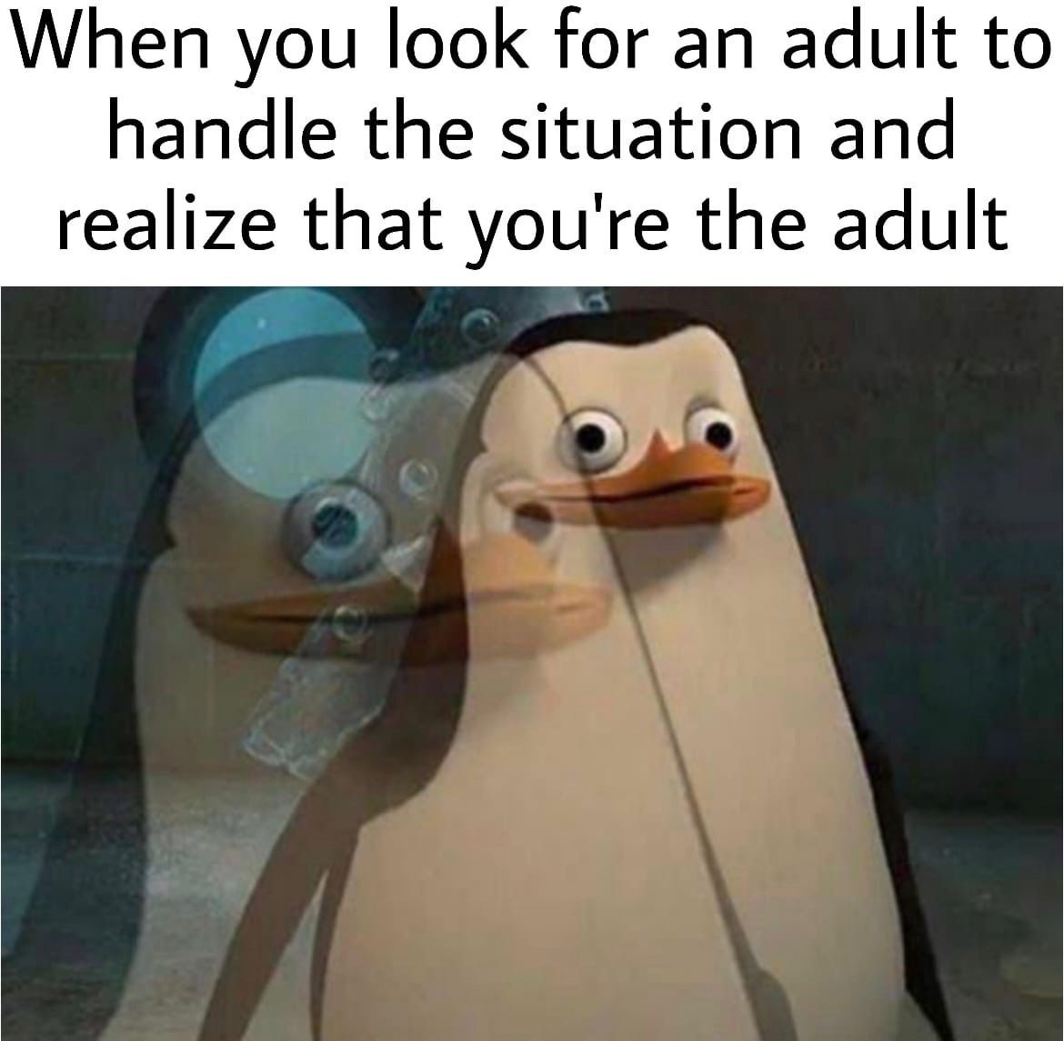 damn