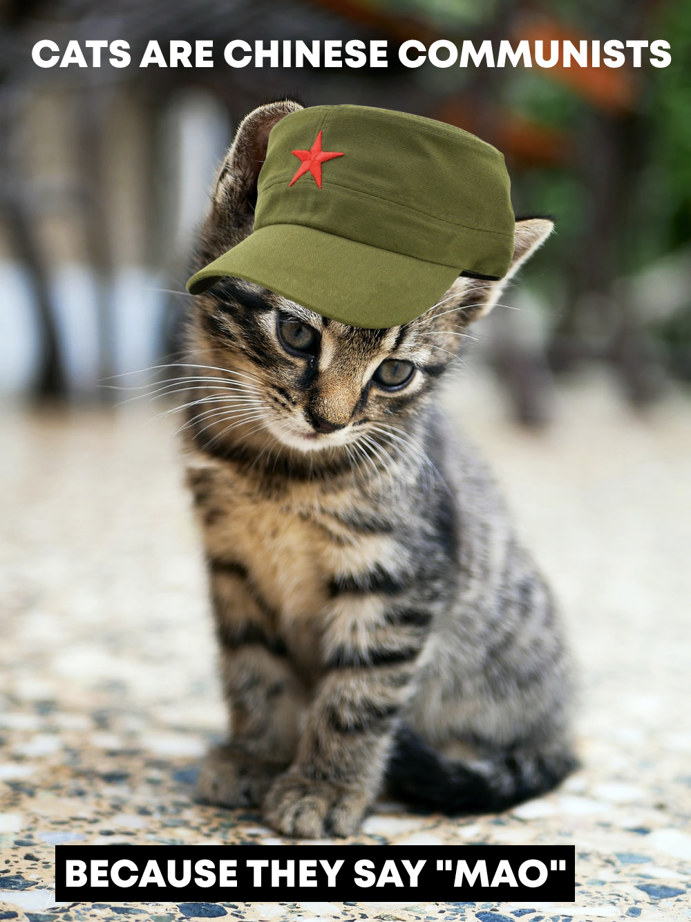 Cats are communists...