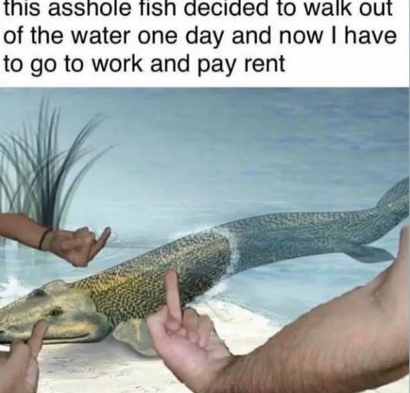 Working sucks