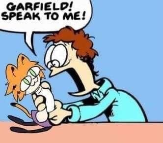 lasagnya
