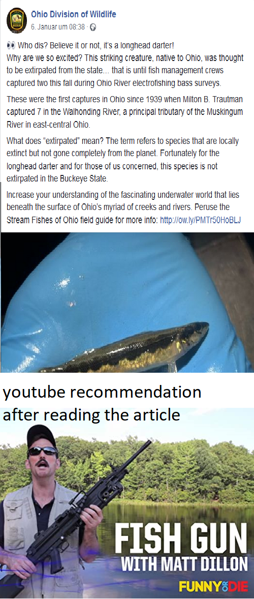 here fishie fishie