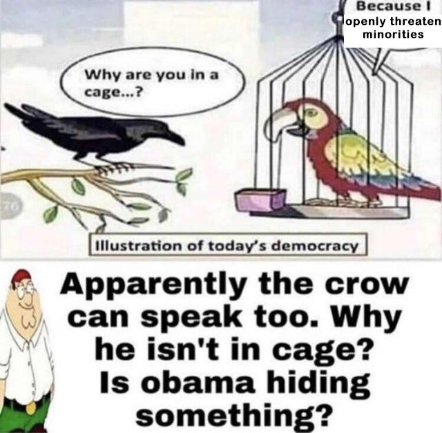 Shitpost response