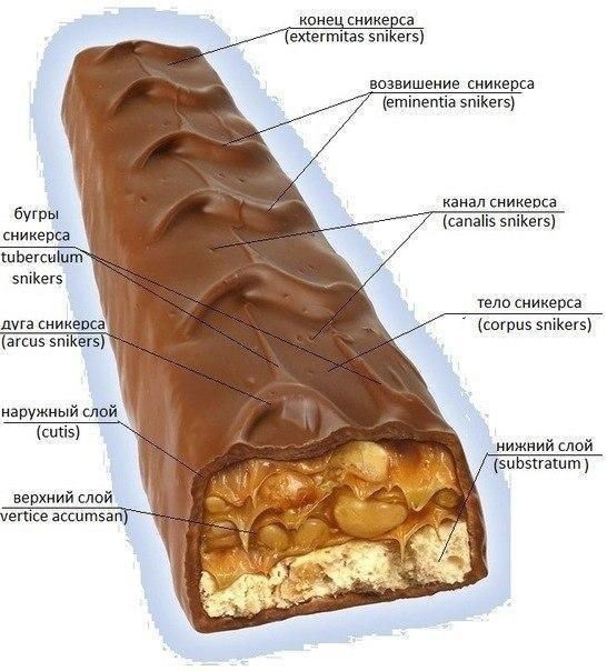 snikers