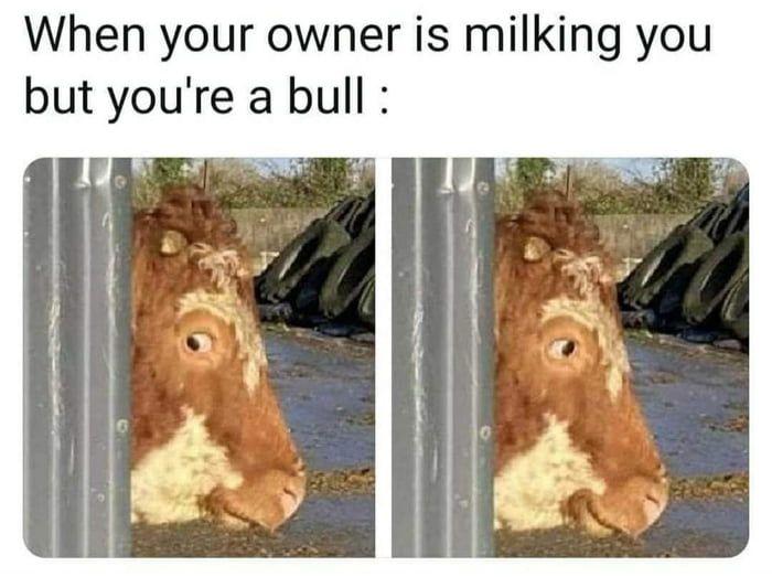 daddy milker
