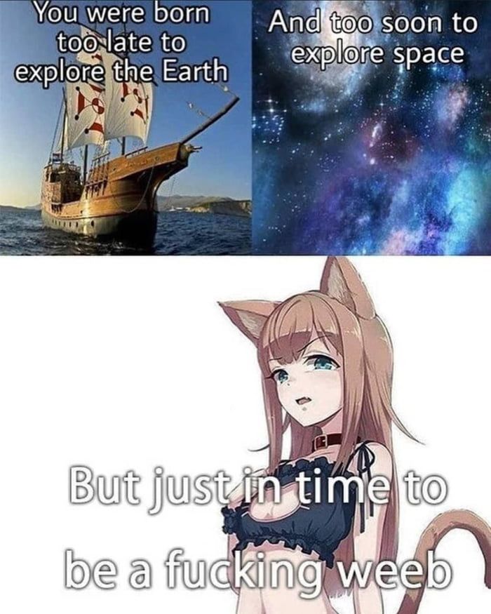 we did it