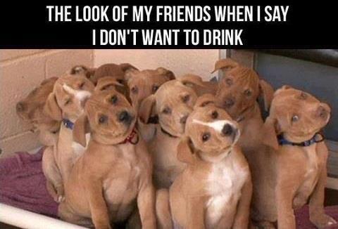 Pretty much sums it up.