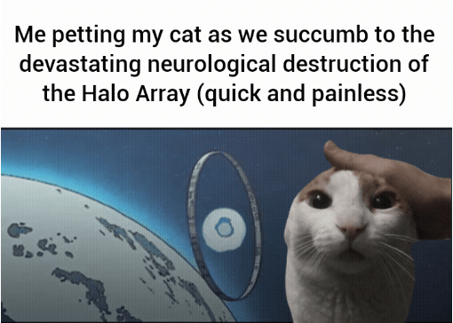 Halo posting