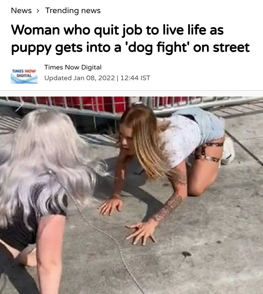 society