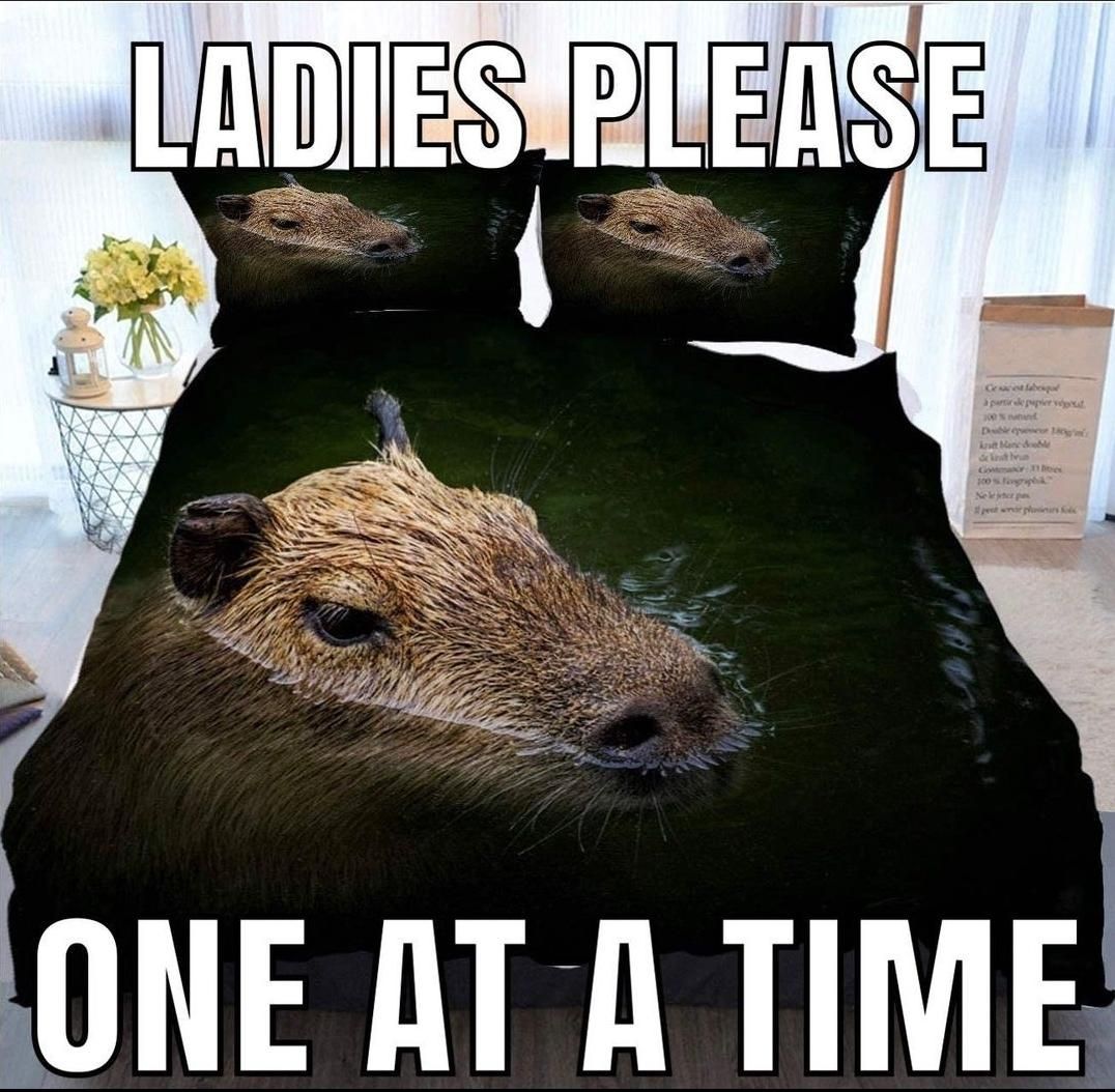 keep your panties on (s)