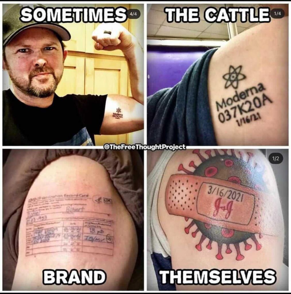 …