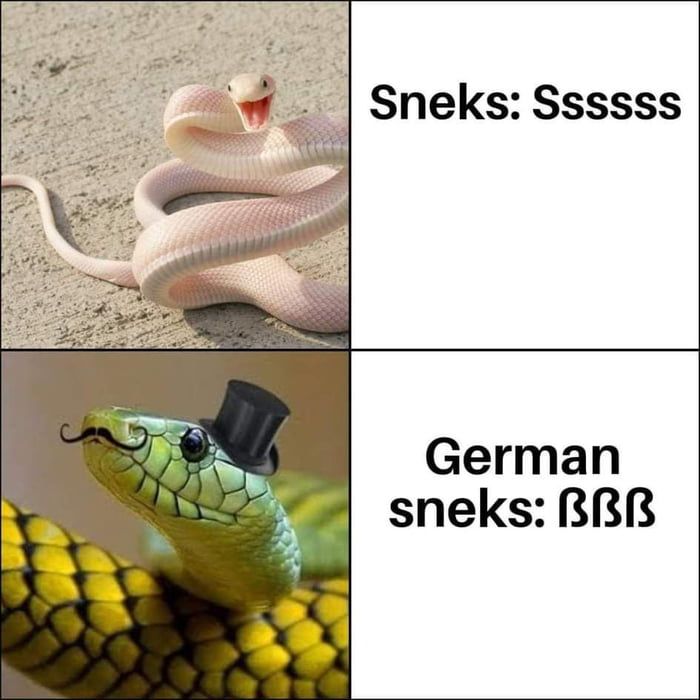 sa german