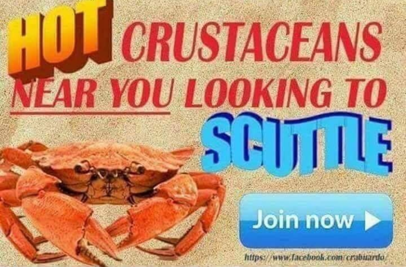 For the aquatic pokemon enthusiasts