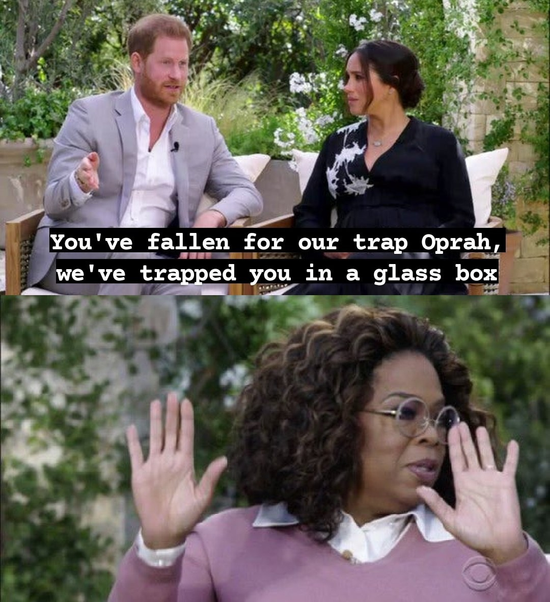 You've fallen for our trap, Oprah