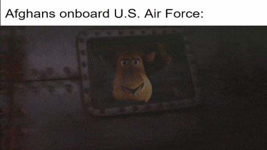 …