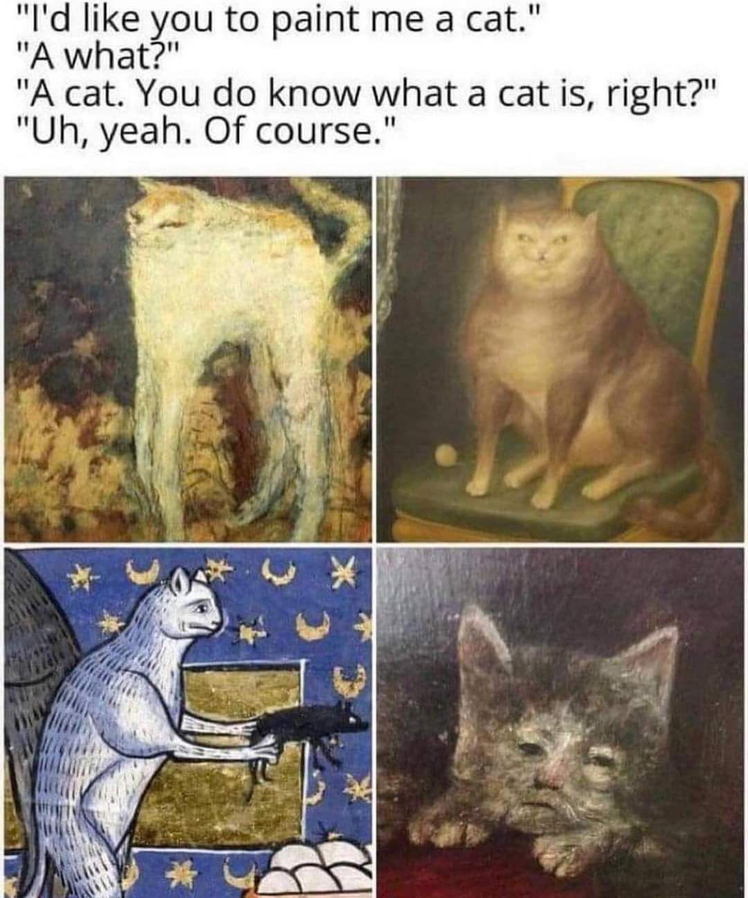 The bottom right cat is my spirit animal.