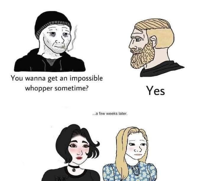 Oestrogen