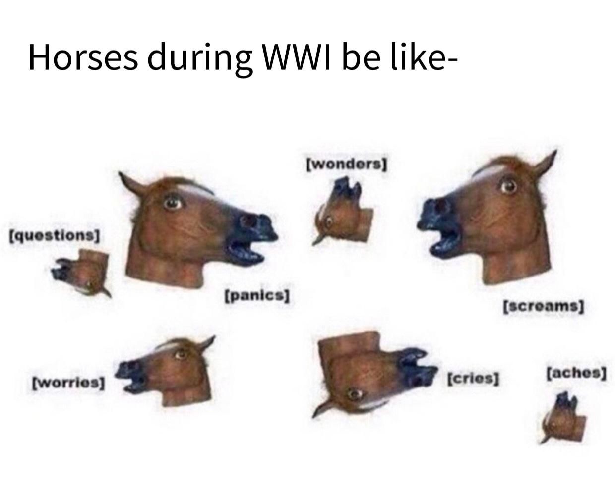 In total, over 8 million horses perished during the war.