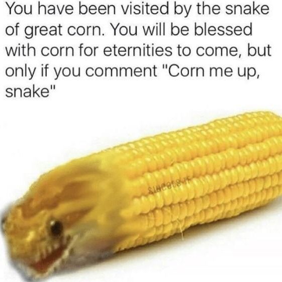 corm