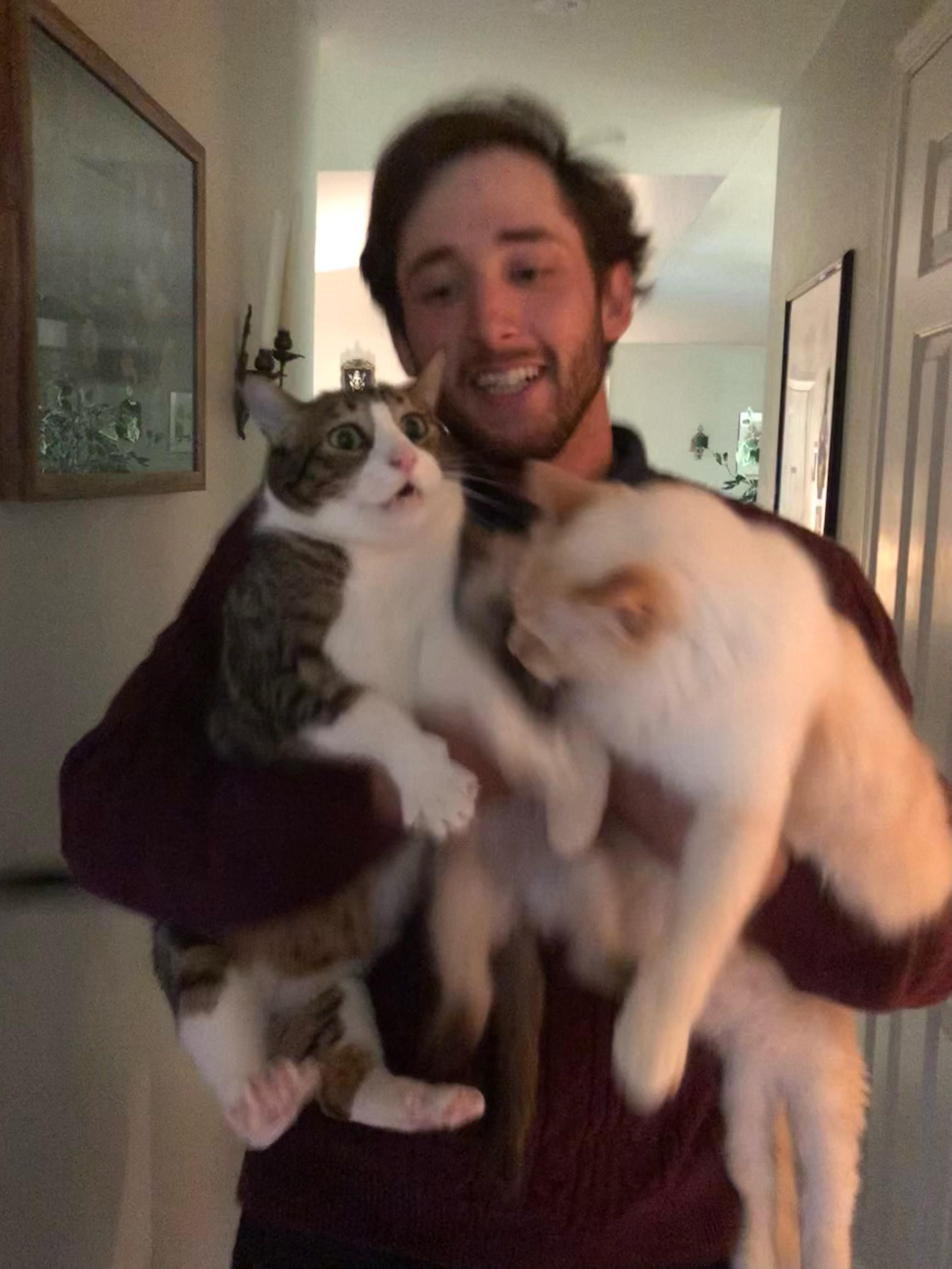 I attempted to take a pic with all 3 of my cats