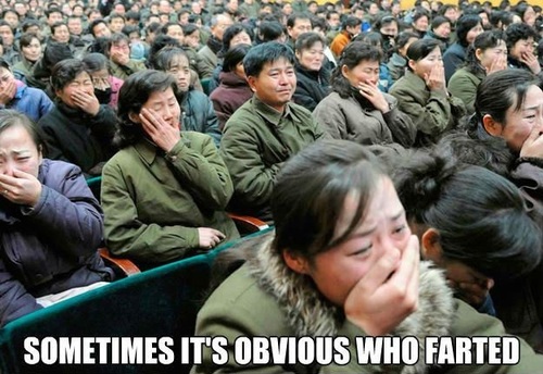 Sometimes it is obvious who farted