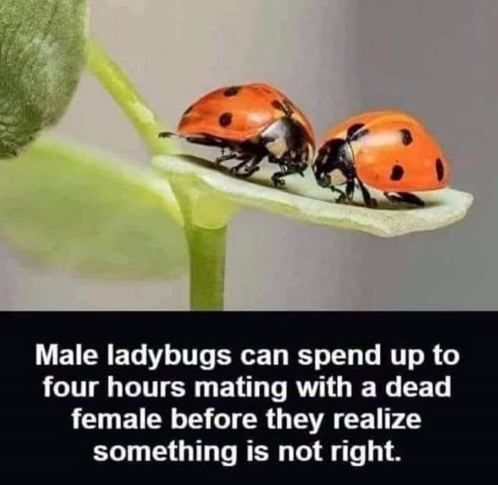 and keeps on going