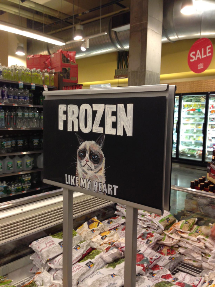 Frozen food isle