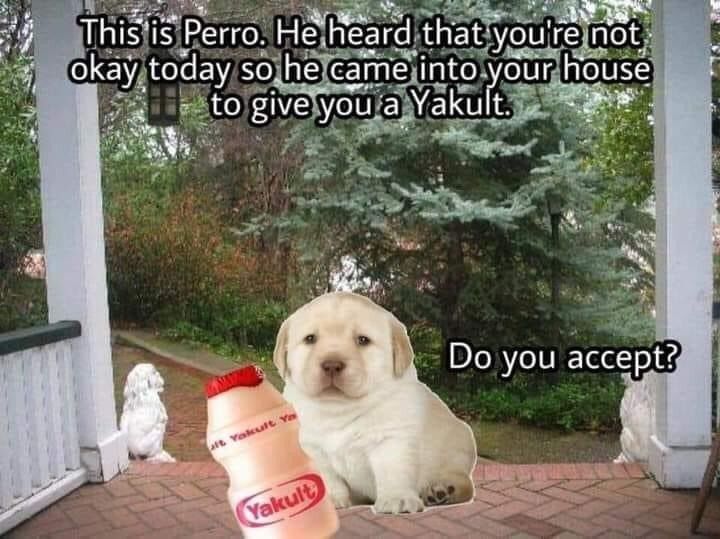perro