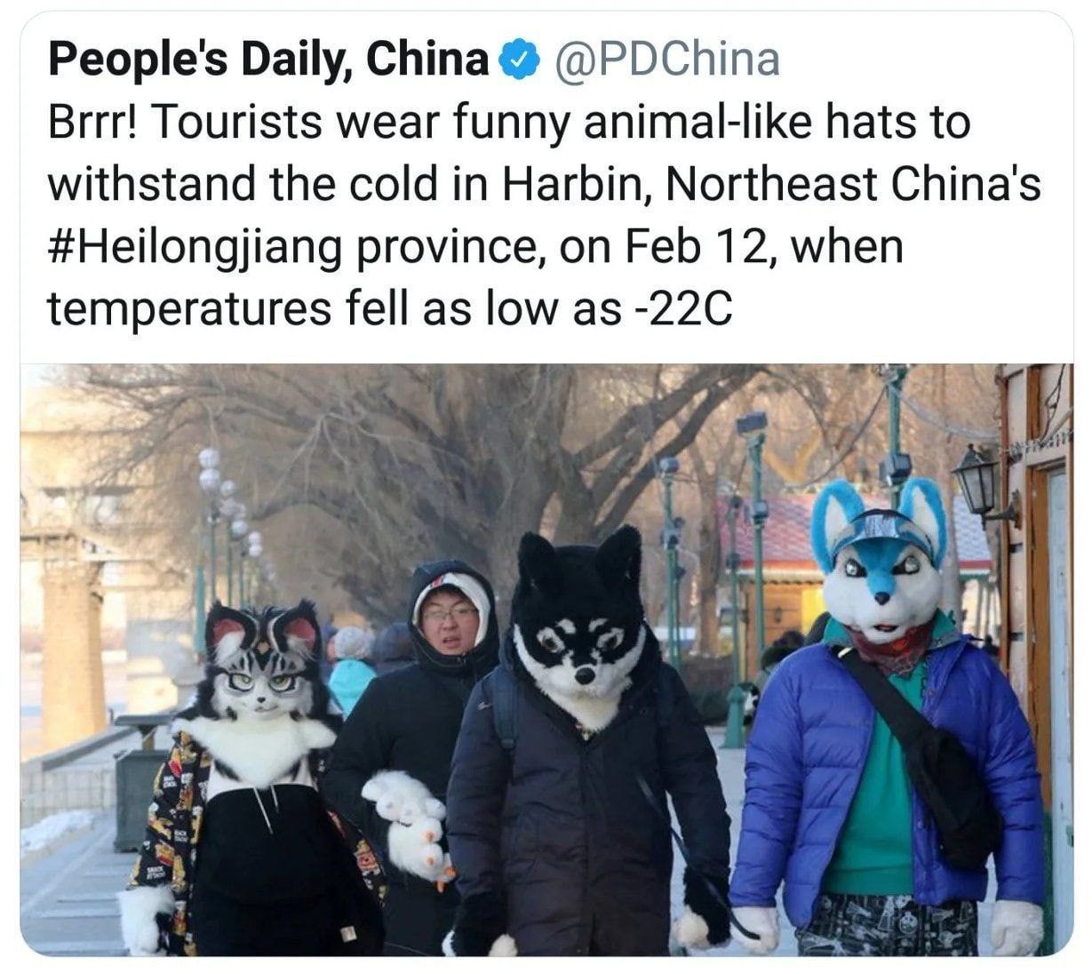 I only get my news from reliable sources