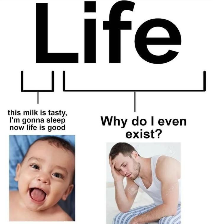 Why indeed