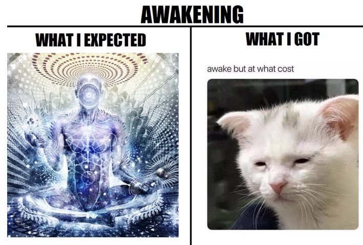 …