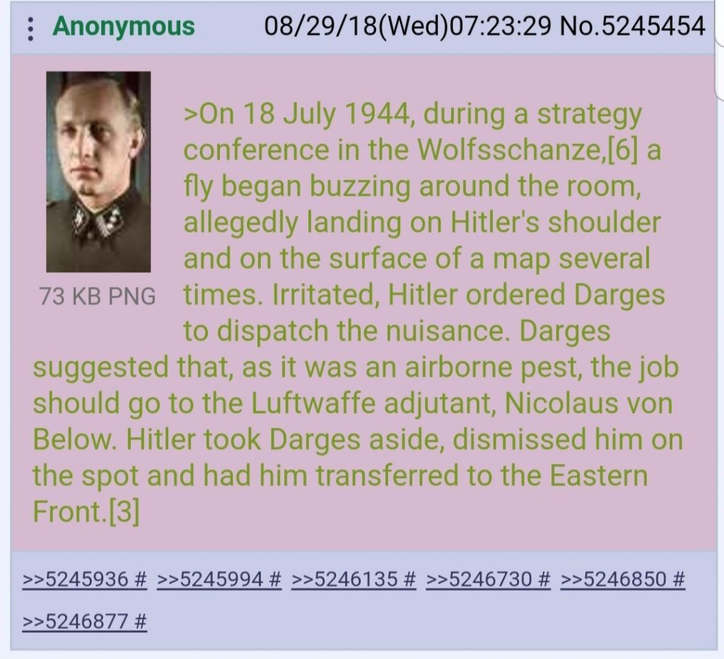 The more I learn about this Hitler fellow the less l like him