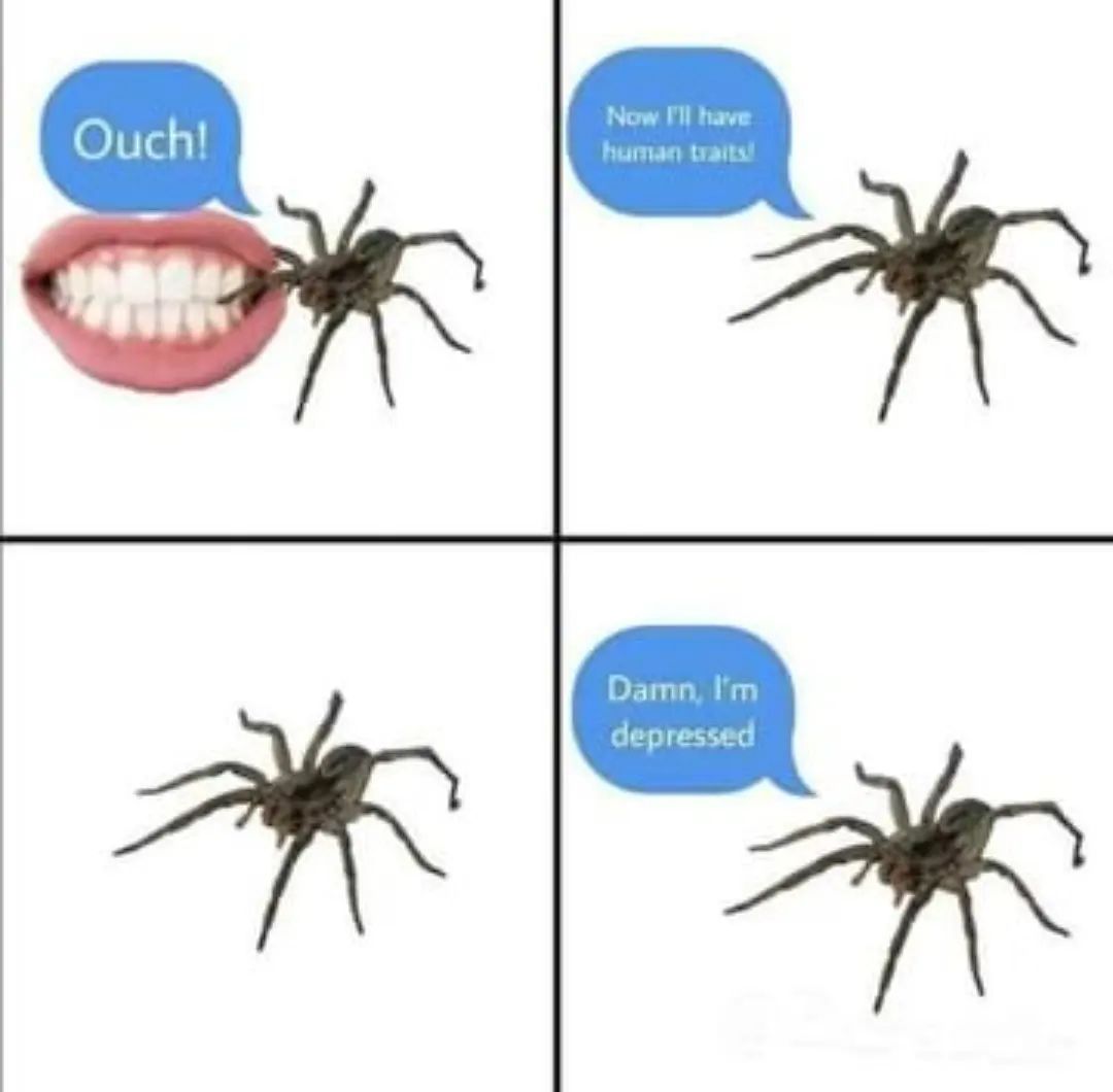 Why would you bite a spider?