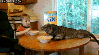"Only the best for my kid and my Iguana lizard. Kix."