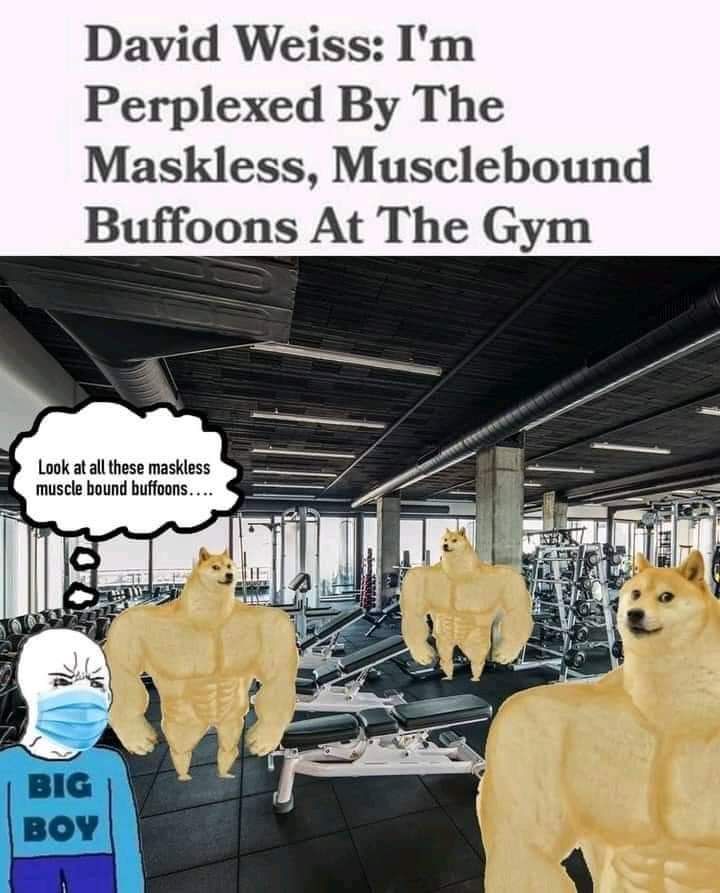 He was at the gym to deliver a protein shake to the bull