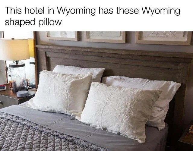 Lame, mine only has Colorado shaped ones