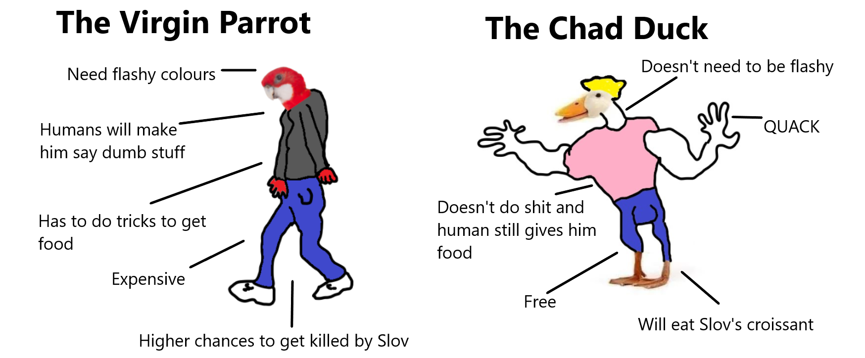 Chuck the duck [OC]
