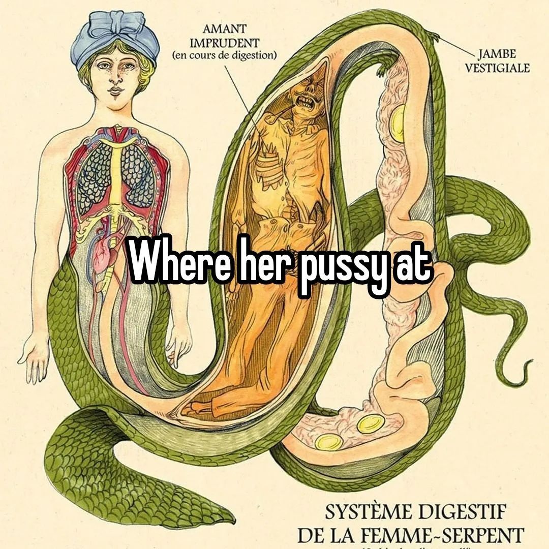 snek