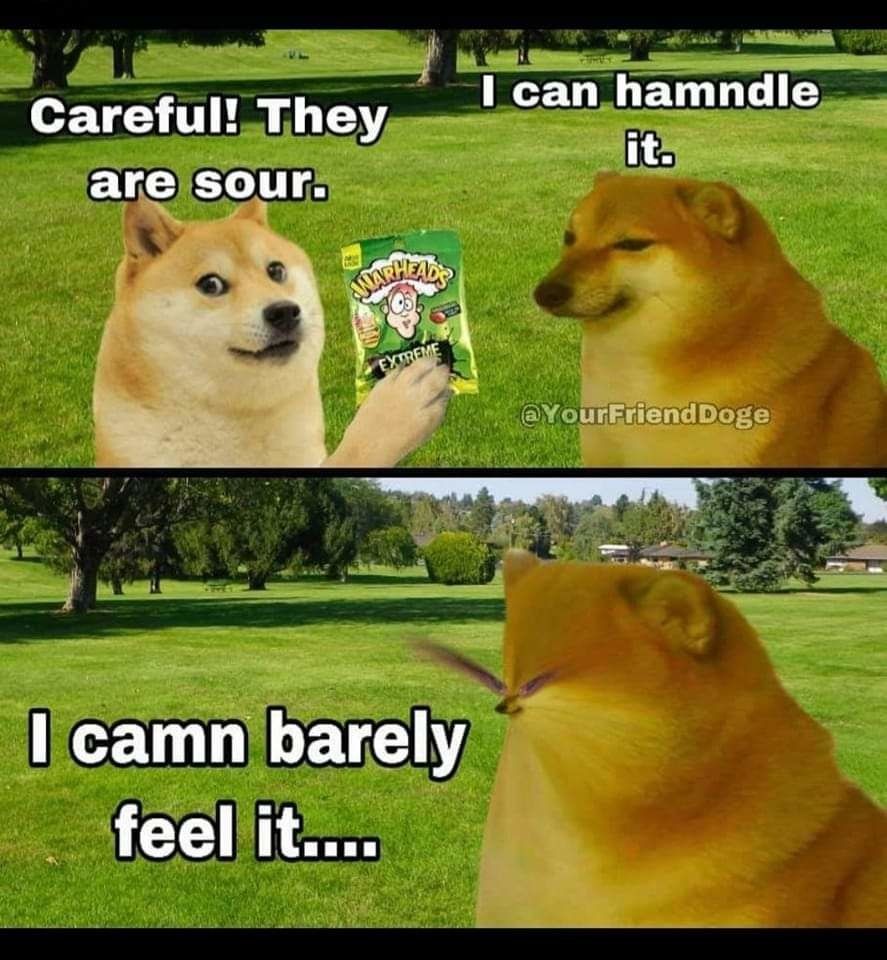 camndy