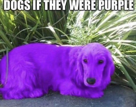 porple
