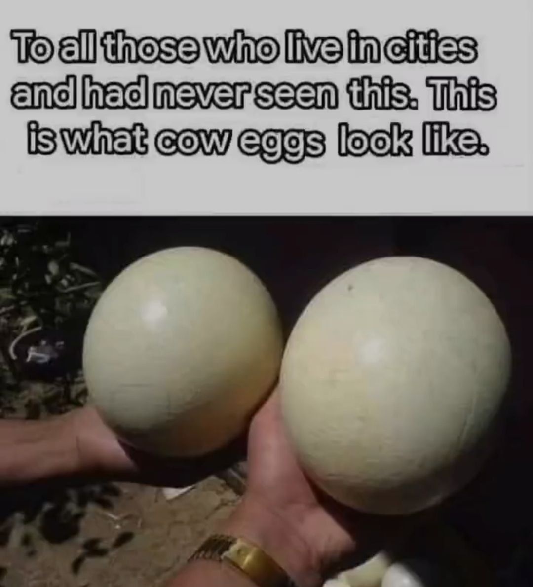 I learned something