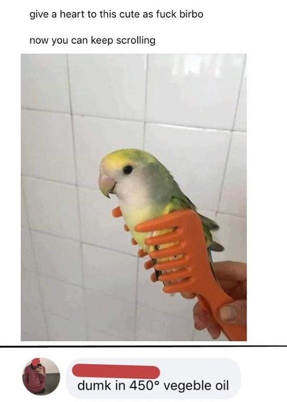 vegeble