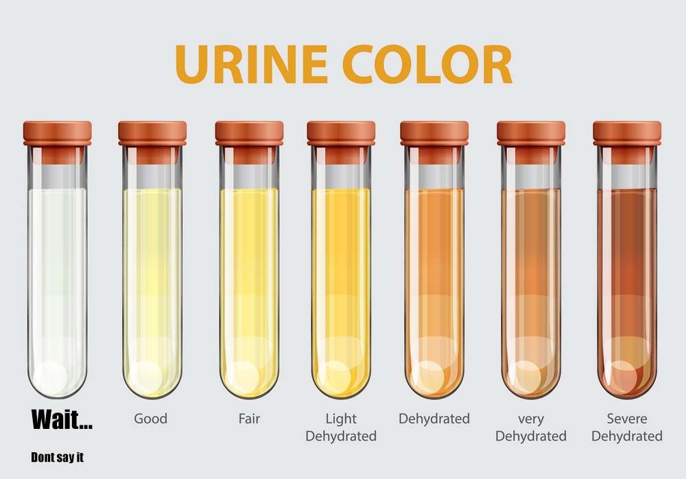 Urine charts be like...