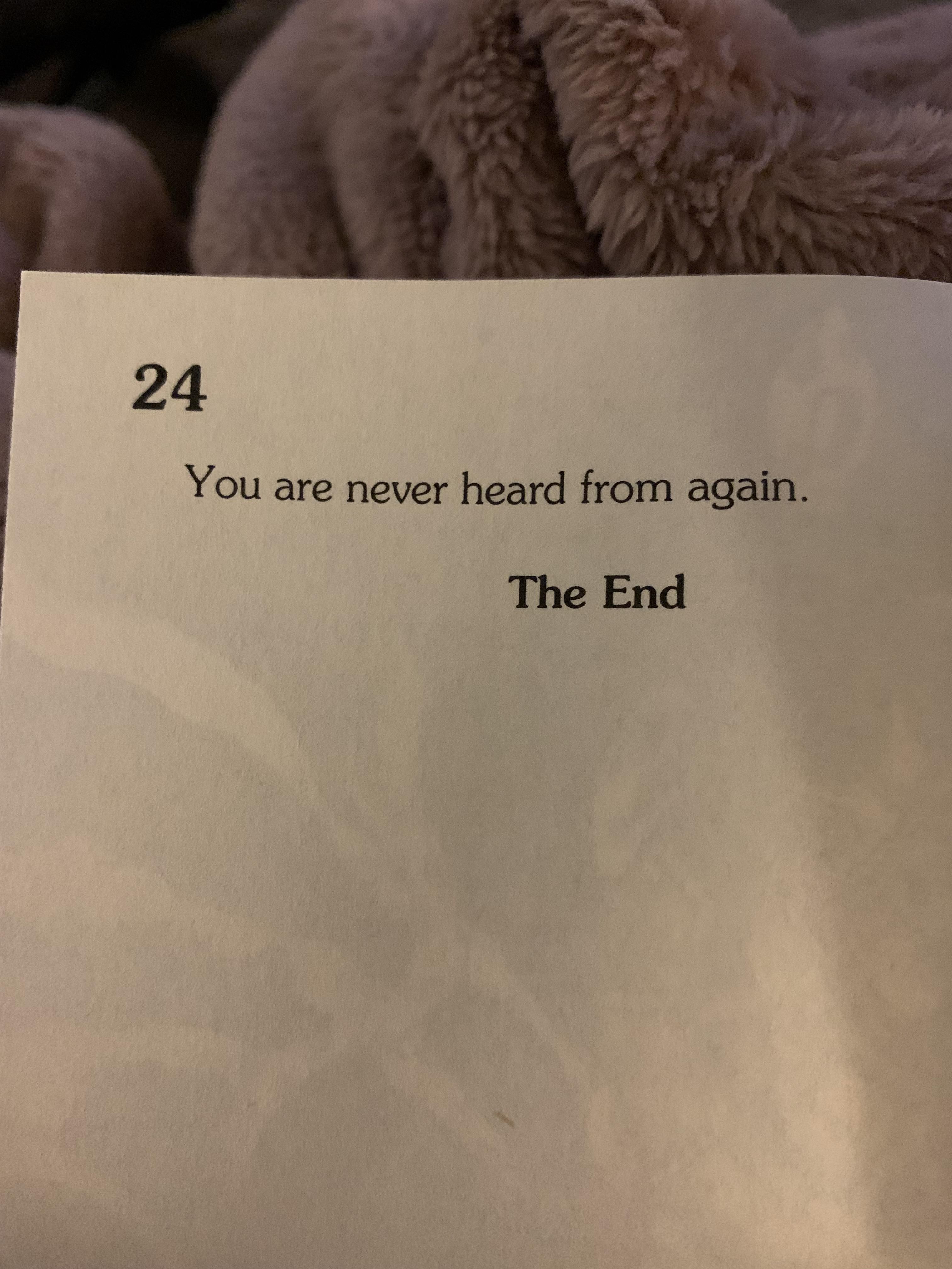 I bought a “Choose your own Adventure” book.