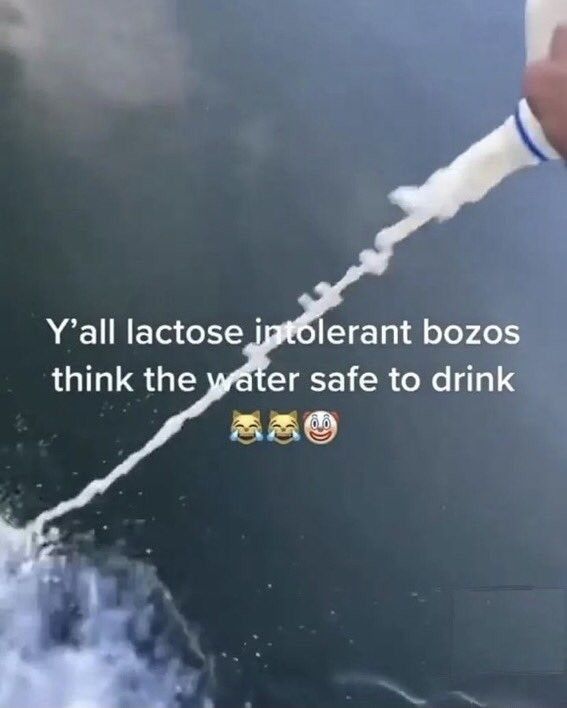 haha eat shit lactose'nt