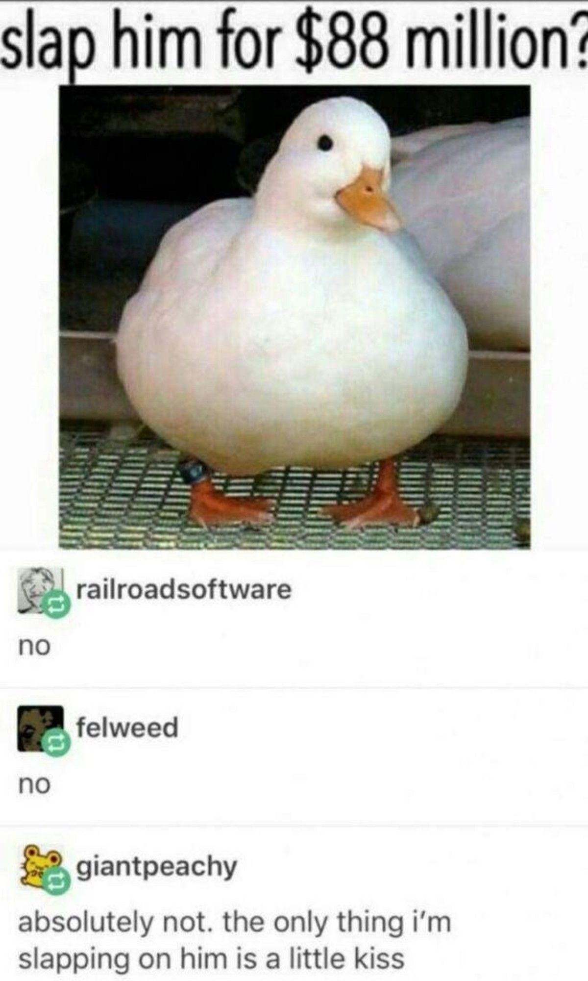 ducko