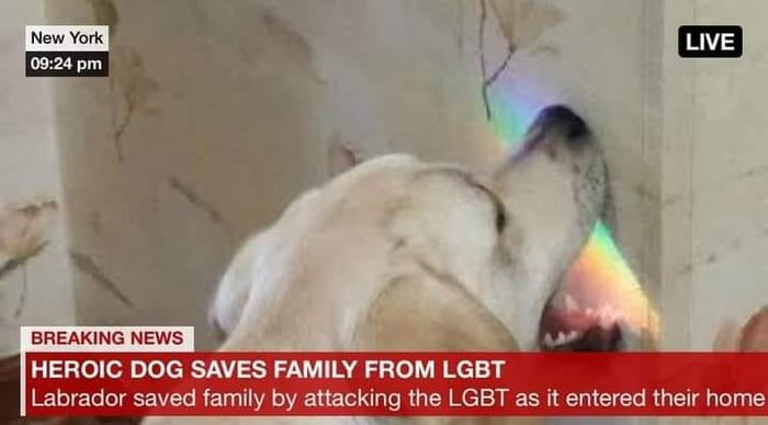 what a hero